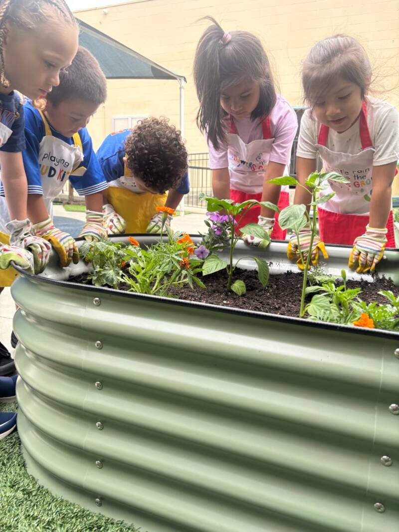 Children in gardening gloves planting flowers at Sunny West